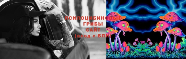 сатива Покровск