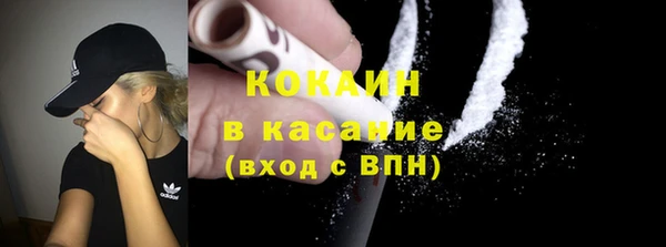ешки Арсеньев