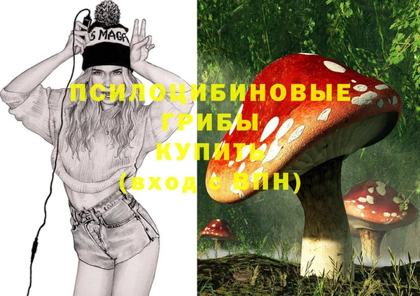 гидра Баксан