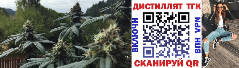 OMG как зайти  Суздаль  Дистиллят ТГК концентрат 