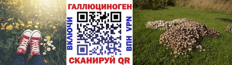 Галлюциногенные грибы GOLDEN TEACHER  хочу наркоту  Суздаль 
