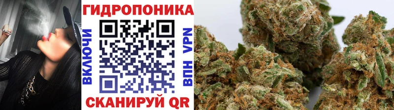 Канабис Bruce Banner  Суздаль 